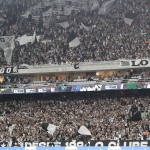 Botafogo_Torcida