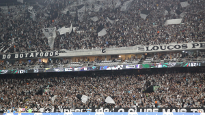 Botafogo_Torcida