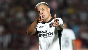 matheus martins do botafogo