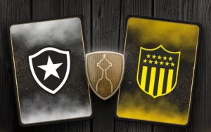 instagram penarol x botafogo libertadores