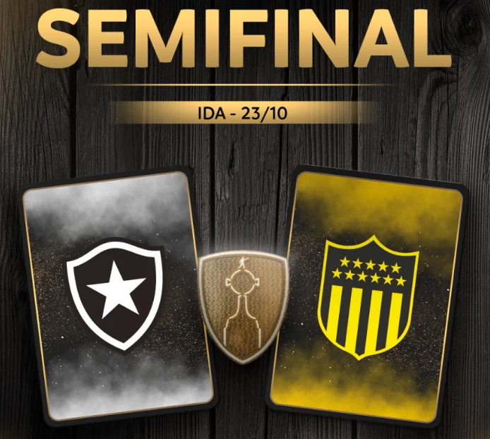 instagram penarol x botafogo libertadores