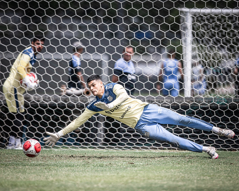 botafogo - Brazão (Foto: Raul Baretta/ Santos FC)