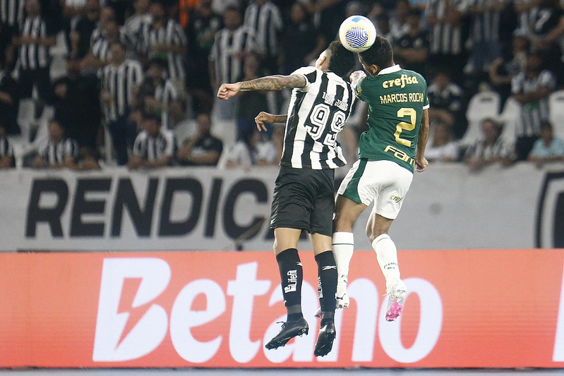 Igor jesus. Botafogo x Palmeiras pelo Campeonato Brasileiro no Estadio Niltos Santos. 17 de Julho de 2024, Rio de Janeiro, RJ, Brasil. Foto: Vitor Silva/Botafogo.