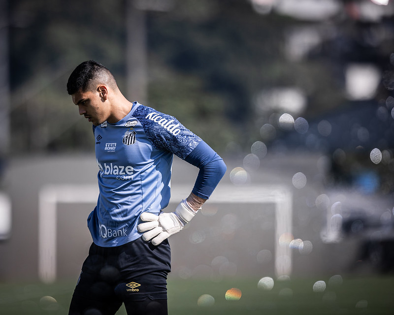 Brazão (Foto: Raul Baretta/ Santos FC)