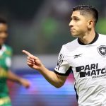 Botafogo Palmeiras brasileirao