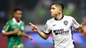 Botafogo Palmeiras brasileirao