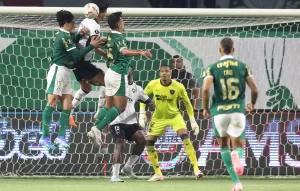 Danilo. Palmeiras x Botafogo pela Copa Conmebol Libertadores no Estadio Niltos Santos Allianz Parque. 21 de Agosto de 2024, Sao Paulo, SP, Brasil. Foto: Vitor Silva/Botafogo. john