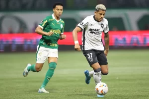 Matheus Martins. Palmeiras x Botafogo pela Copa Conmebol Libertadores no Estadio Niltos Santos Allianz Parque. 21 de Agosto de 2024, Sao Paulo, SP, Brasil. Foto: Vitor Silva/Botafogo.