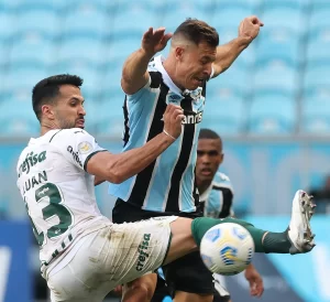 grêmio vs palmeiras e botafogo