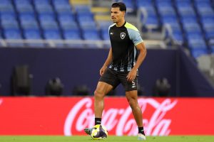 Danilo Barbosa_Botafogo