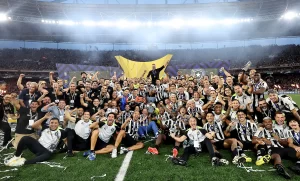 botafogo campeao brasileiro