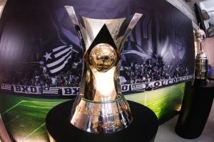 botafogo novo técnico