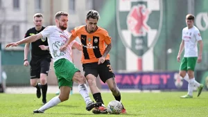 marlon gomes no botafogo ex-vasco