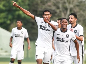 sub botafogo jovens