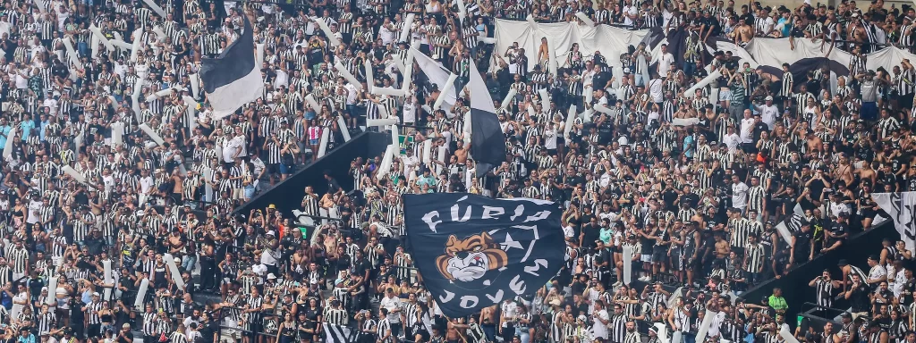 torcida botafogo