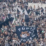 torcida botafogo