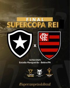 taça super copa do brasil botafogo flamengo