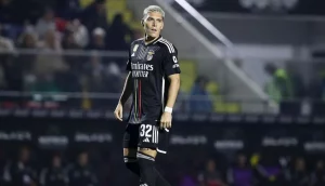 Benjamin Rollheiser botafogo