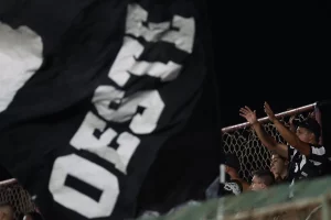 novo treinador botafogo