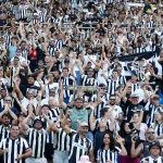 torcida botafogo es