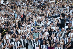 torcida botafogo es