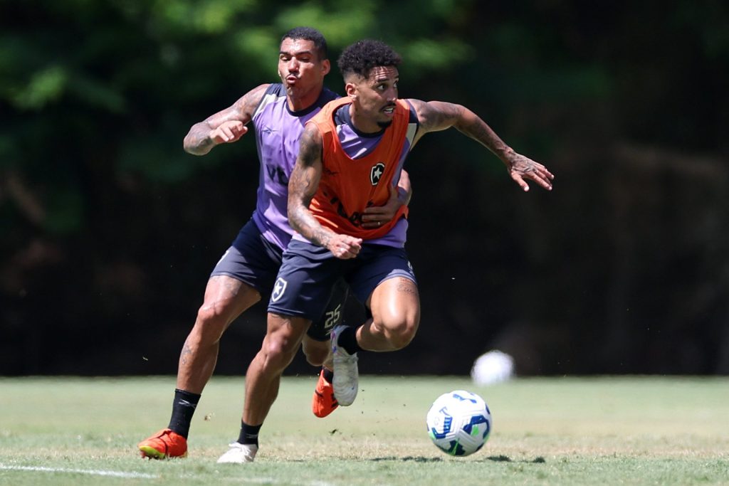 Elenco do Botafogo. Foto: Vítor Silva/Botafogo