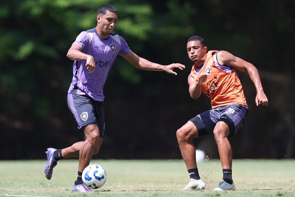 Elenco do Botafogo. Foto: Vítor Silva/Botafogo