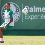 Naves. Foto: Cesar Greco/Palmeiras
