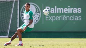 Naves. Foto: Cesar Greco/Palmeiras