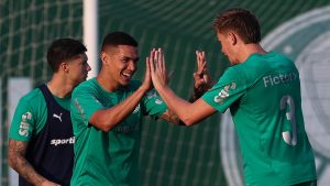 Naves. Foto: Cesar Greco/Palmeiras