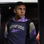 David Ricardo, defensor do Botafogo. Foto: Vitor Silva