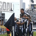 Elenco do Botafogo comemorando gol. Foto: Reprodução.