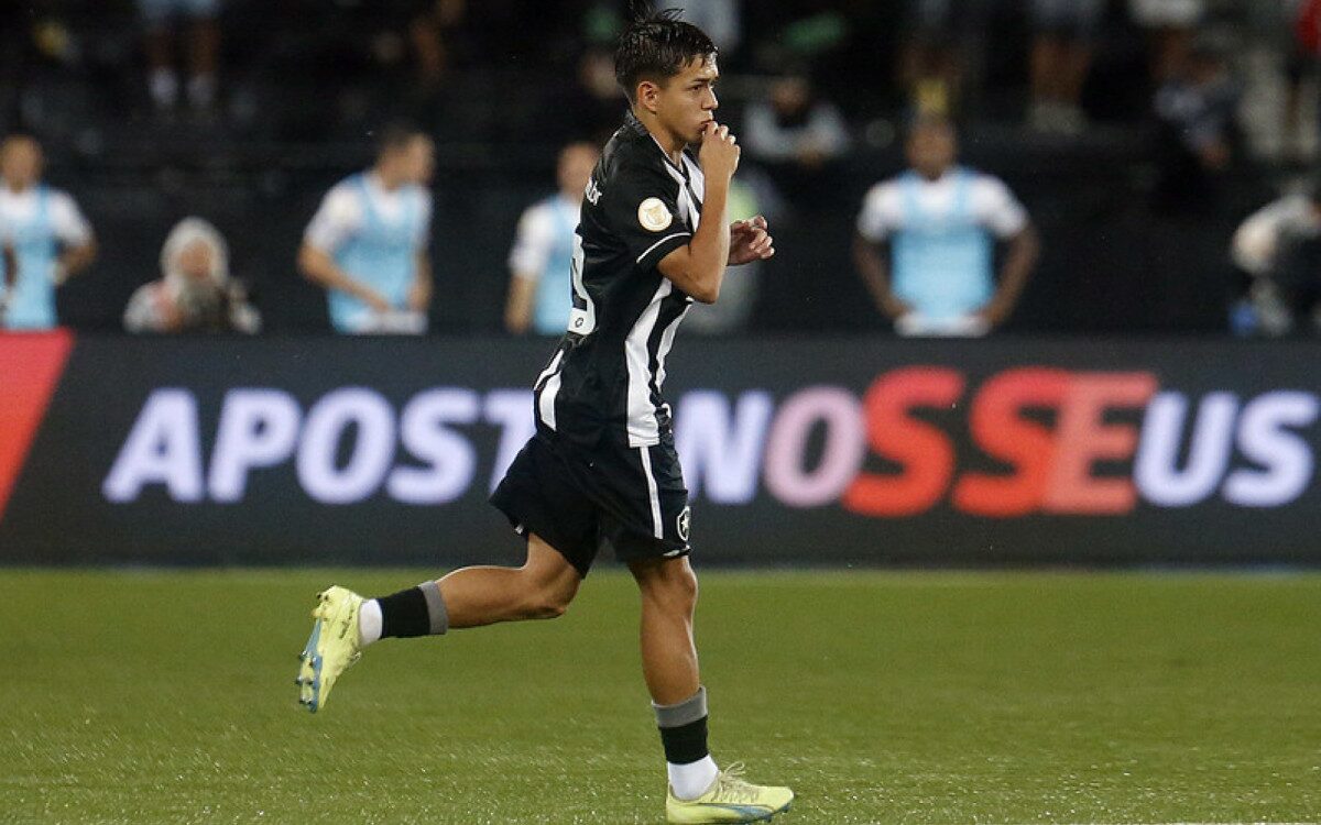 Botafogo define futuro de Segovinha, Danilo e reforça a zaga para o Brasileirão 2025 - Meu Botafogo