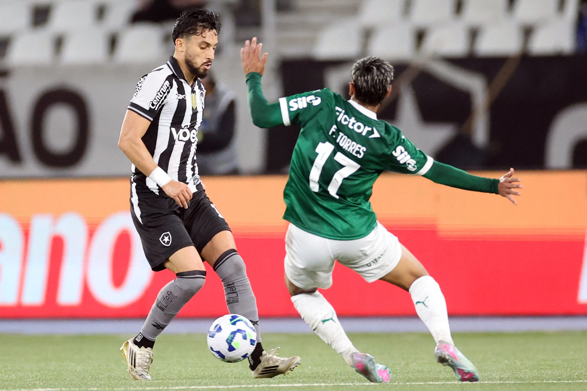 Botafogo falha na finalização e é derrotado pelo Palmeiras no Nilton Santos. - Meu Botafogo