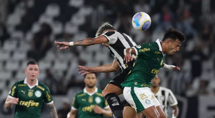 Botafogo e Palmeiras definidos para às 20h30, no Estádio Nilton Santos - Meu Botafogo