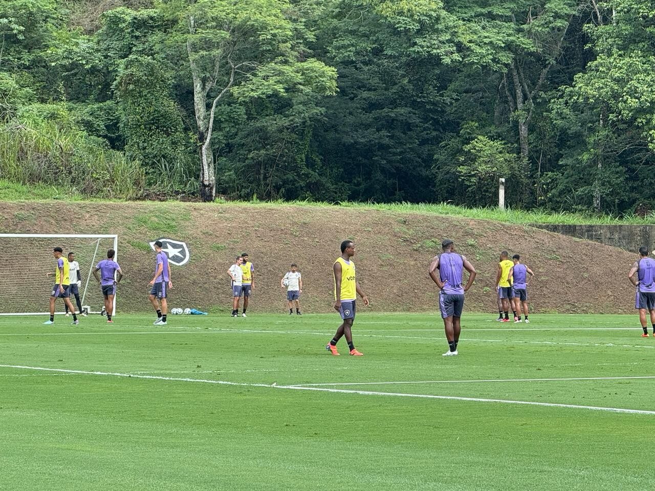 Botafogo “Fiquei para baixo”: o drama e a volta por cima de veterano do elenco - Meu Botafogo