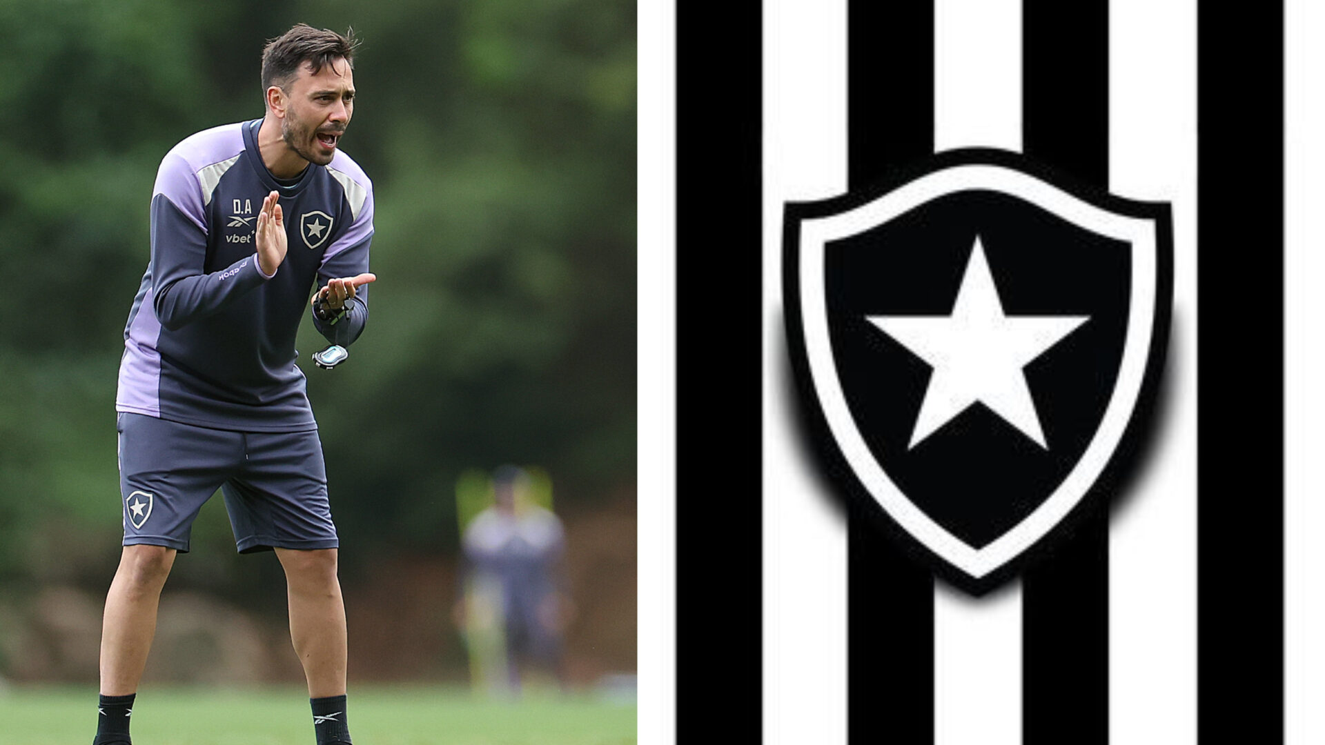 Botafogo Davide admite falhas após queda no clássico 