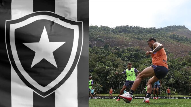 Vitória contra o Grêmio pode colocar Botafogo mais perto do G4 - Meu Botafogo