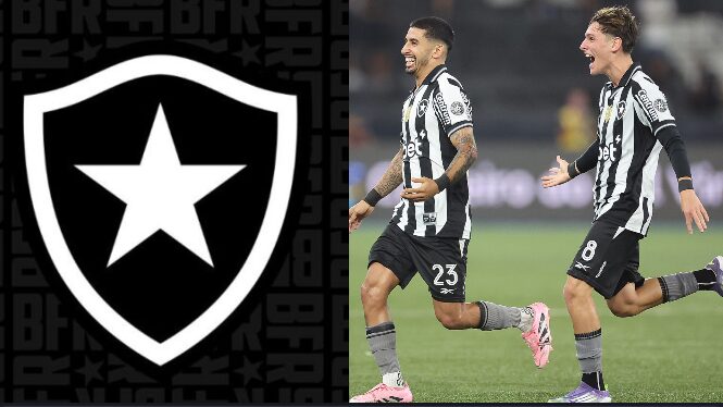 Botafogo perde titulares e terá banco sem experiência 