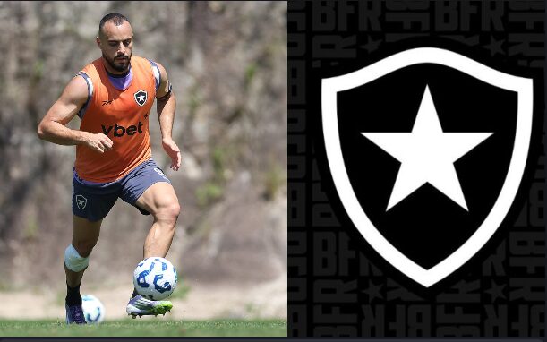 Botafogo faz contas e mira vaga na Libertadores 2026 - Meu Botafogo