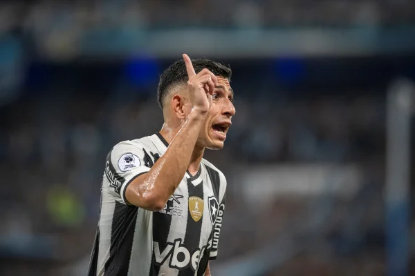 Savarino tem fala forte e aponta o grande culpado pelo 2025 irregular do Botafogo - Meu Botafogo