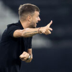 Martín Anselmi, Botafogo