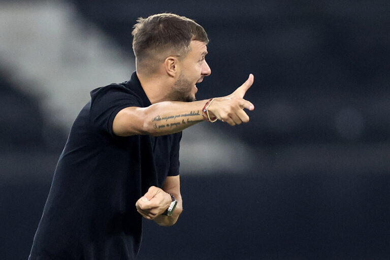 Martín Anselmi, Botafogo